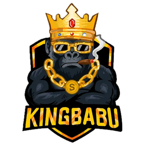 KINGBABU เข้าสู่ระบบ ลืมรหัสผ่าน และปกป้องบัญชี
